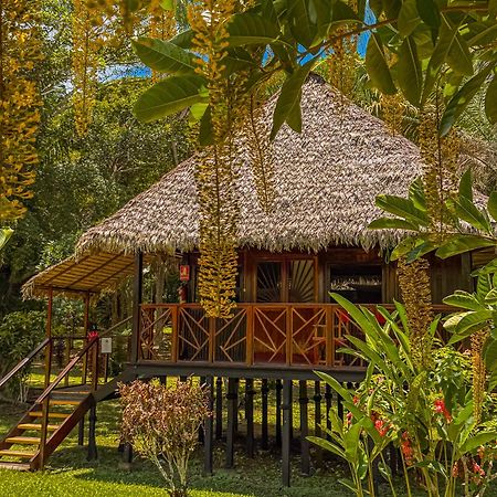 Corto Maltes Amazonia Lodge Puerto Maldonado Zewnętrze zdjęcie