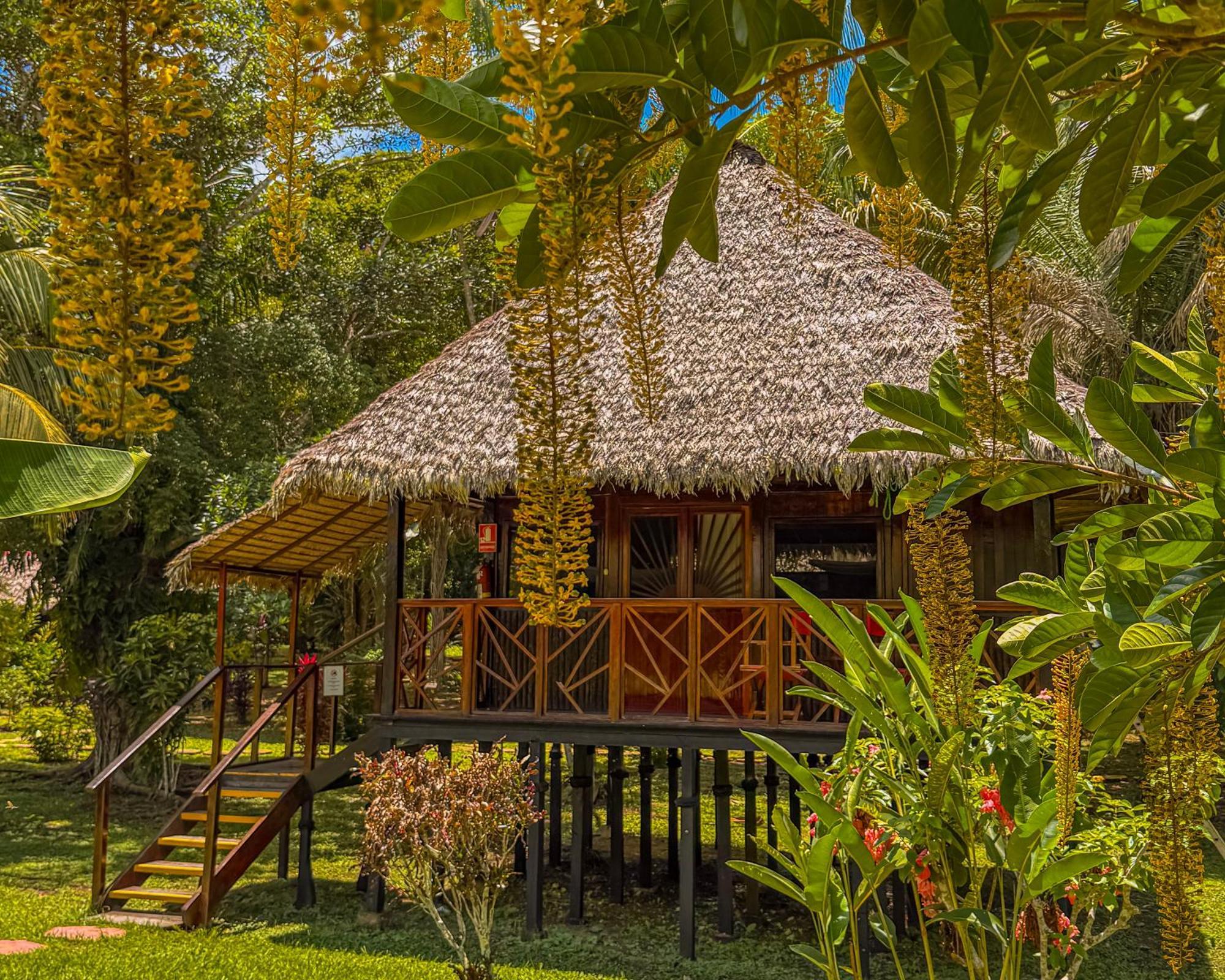 Corto Maltes Amazonia Lodge Puerto Maldonado Zewnętrze zdjęcie