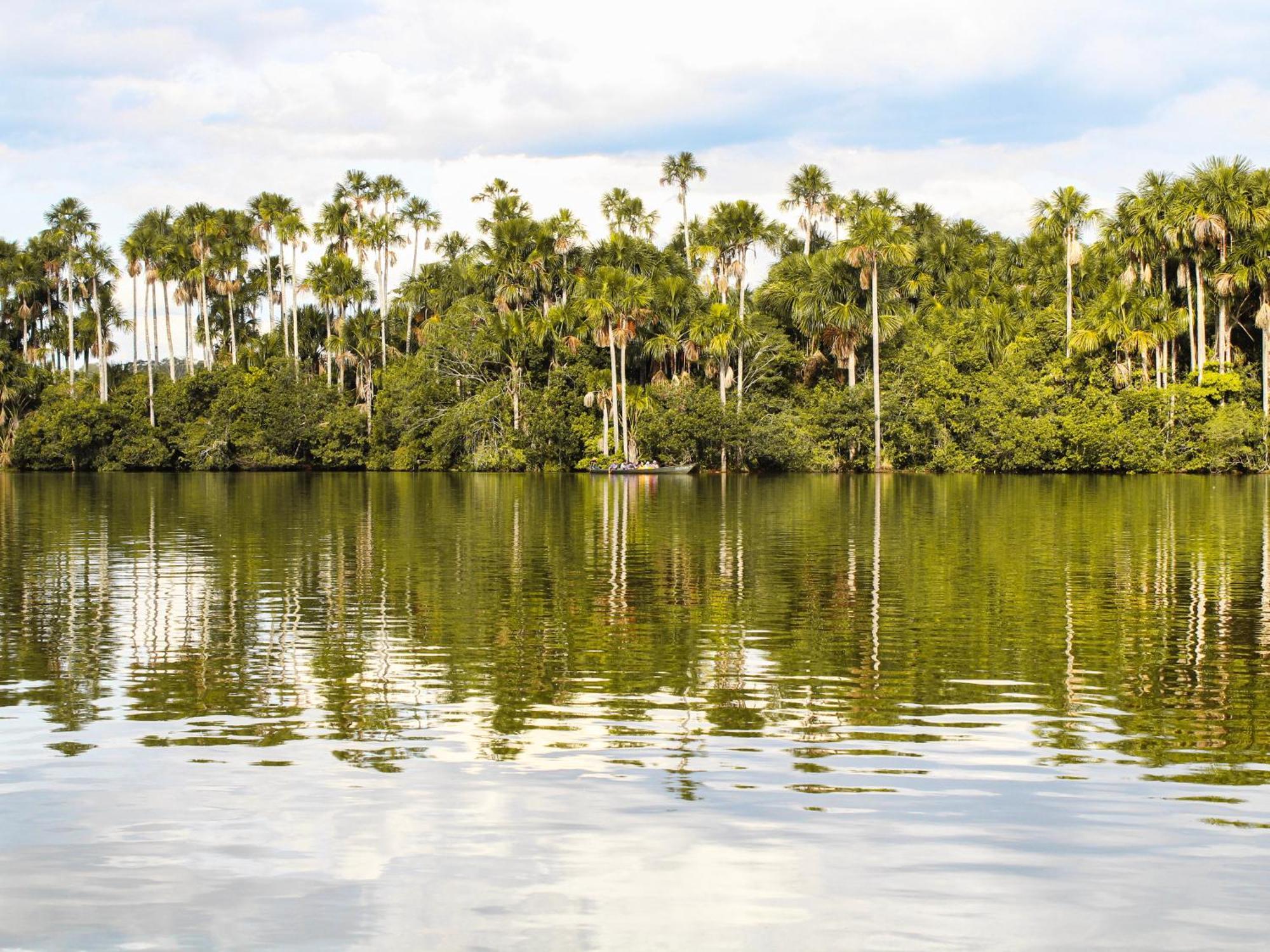 Corto Maltes Amazonia Lodge Puerto Maldonado Zewnętrze zdjęcie