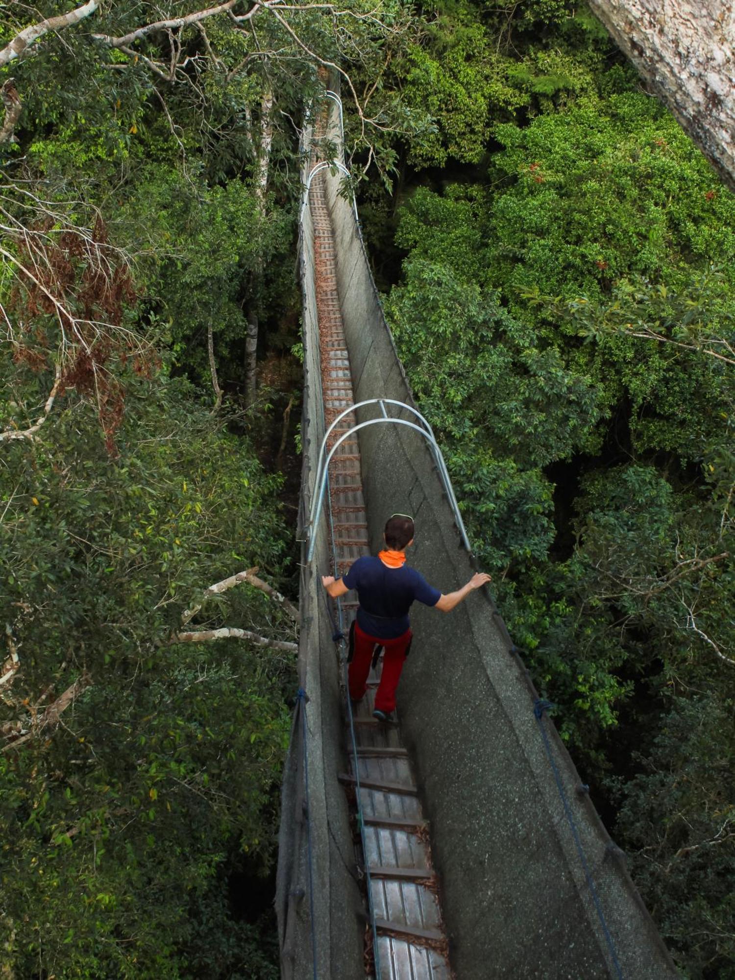 Corto Maltes Amazonia Lodge Puerto Maldonado Zewnętrze zdjęcie