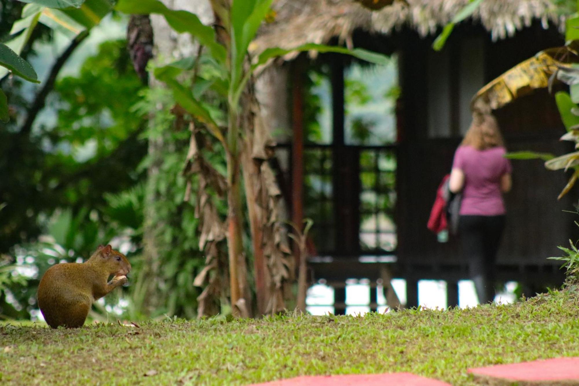 Corto Maltes Amazonia Lodge Puerto Maldonado Zewnętrze zdjęcie