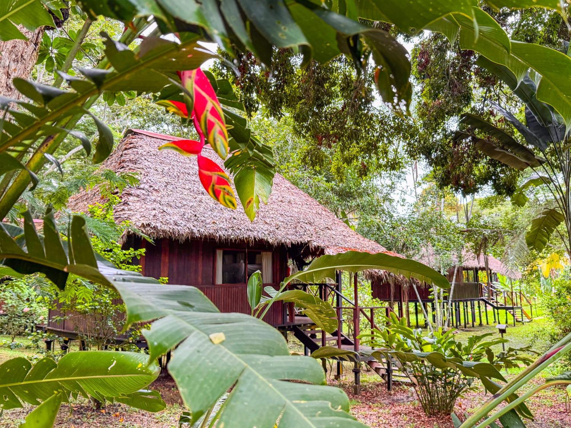 Corto Maltes Amazonia Lodge Puerto Maldonado Zewnętrze zdjęcie